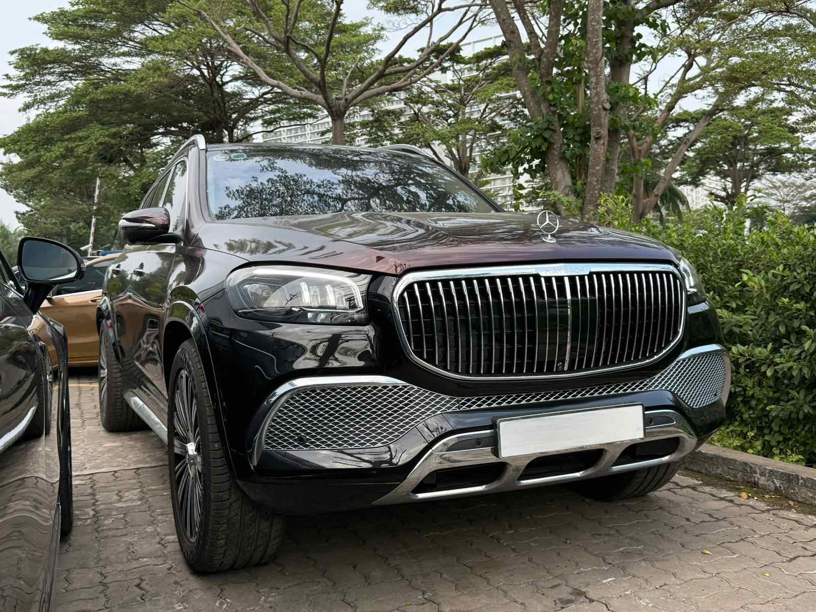 Xe Cũ Mercedes-Maybach GLS 480 4Matic